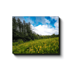 Canvas Wrap - Field of Buttercups in Spring, County Clare - James A. Truett - Moods of Ireland - Irish Art