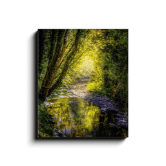 Canvas Wrap - Sunrays through Canopy over Owenslieve River, County Clare - James A. Truett - Moods of Ireland - Irish Art