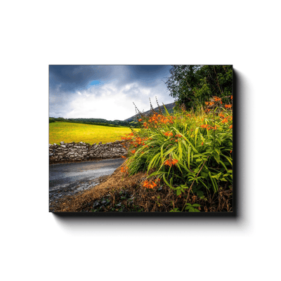 Canvas Wrap - Wild Montbretia in the County Tipperary Countryside - Moods of Ireland