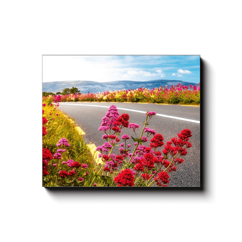 Canvas Wrap - Wild Valerian on the Roadside in County Clare - James A. Truett - Moods of Ireland - Irish Art