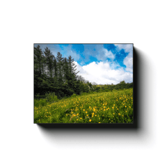 Canvas Wrap - Field of Buttercups in Spring, County Clare - James A. Truett - Moods of Ireland - Irish Art