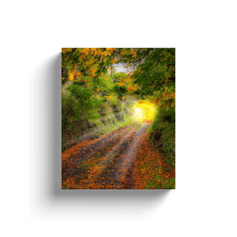 Canvas Wrap - Path to Cullinan Cottage, County Clare - James A. Truett - Moods of Ireland - Irish Art