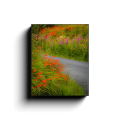 Canvas Wrap - Magical Irish Wildflower Garden - James A. Truett - Moods of Ireland - Irish Art