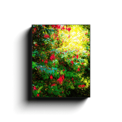 Canvas Wrap - Wild Fuchsias Frollicking in the County Clare Countryside - James A. Truett - Moods of Ireland - Irish Art