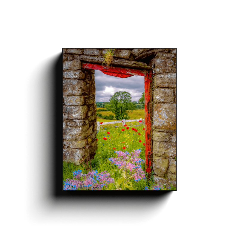 Canvas Wrap - Summer Wildflower Meadow, Ballynacally, County Clare - James A. Truett - Moods of Ireland - Irish Art