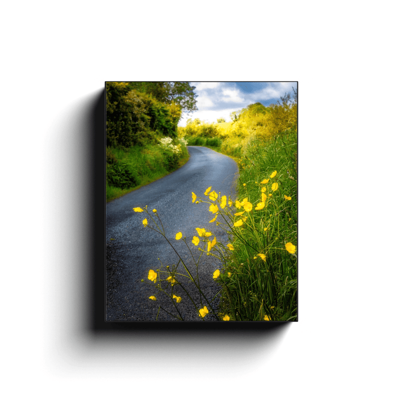 Canvas Wrap - Buttercups on the Road to Lavalla, County Clare - James A. Truett - Moods of Ireland - Irish Art