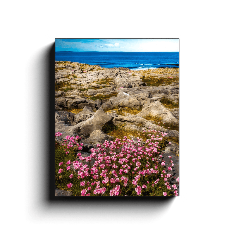 Canvas Wrap - Sea Pinks Blooming in the Burren Limestone, County Clare - James A. Truett - Moods of Ireland - Irish Art