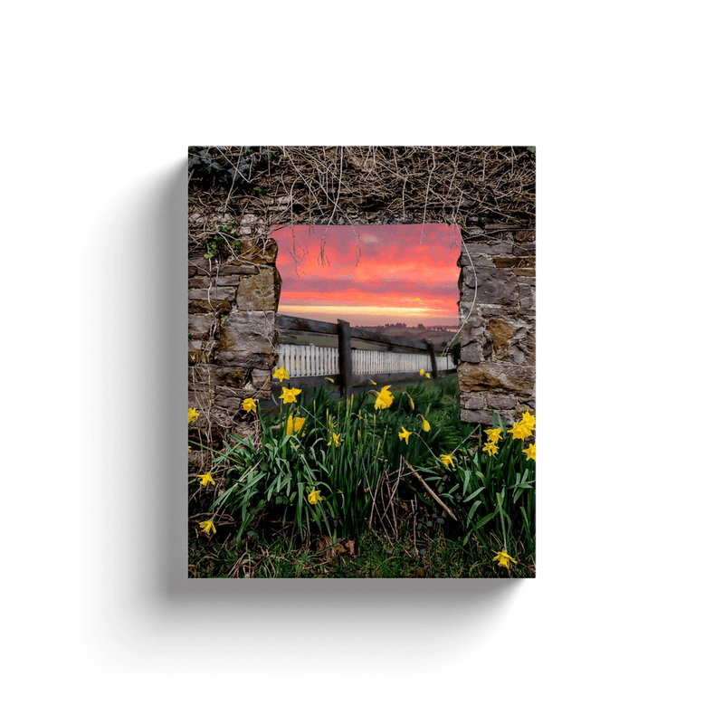 Canvas Wrap - Daffodil Sunrise in the Irish Countryside - James A. Truett - Moods of Ireland - Irish Art