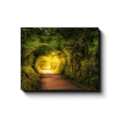 Canvas Wrap - Green Tunnel in Lavalla, County Clare - James A. Truett - Moods of Ireland - Irish Art