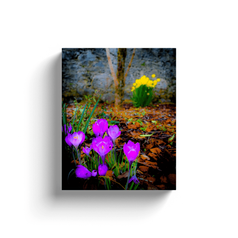 Canvas Wrap - Rebirth of Irish Spring Wildflowers - James A. Truett - Moods of Ireland - Irish Art