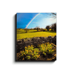 Canvas Wrap - Spring Rainbow and Daffodils, Kildysart, County Clare - James A. Truett - Moods of Ireland - Irish Art