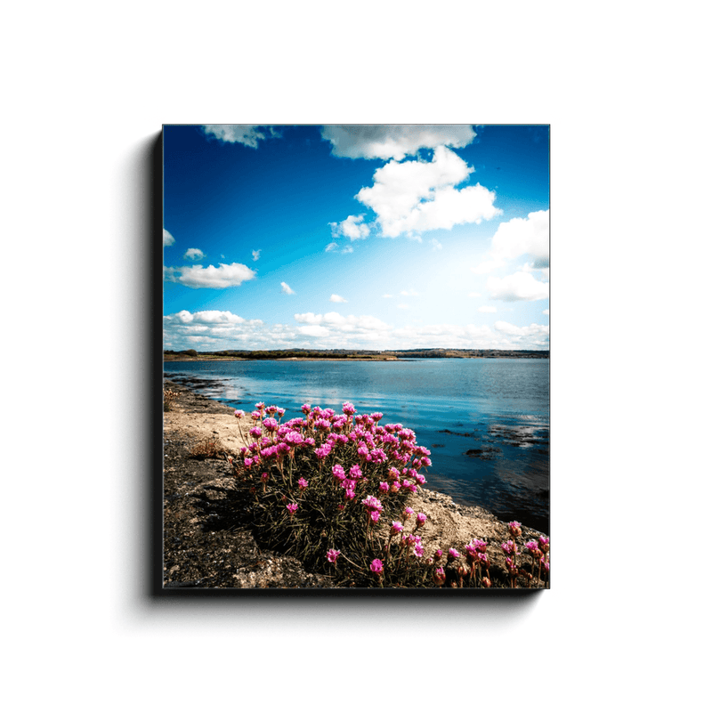 Canvas Wrap - Sea Pinks along Ireland's Shannon Estuary - James A. Truett - Moods of Ireland - Irish Art