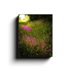 Canvas Wrap - Roadside Wildflowers in County Clare, Ireland - James A. Truett - Moods of Ireland - Irish Art