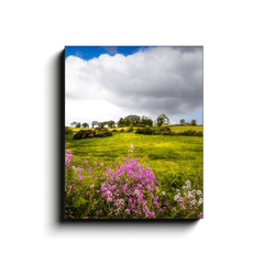 Canvas Wrap - Lissycasey Wildflowers, County Clare, Ireland - James A. Truett - Moods of Ireland - Irish Art