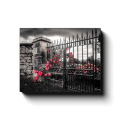 Canvas Wrap - Irish Roses through Gate, County Clare - Moods of Ireland