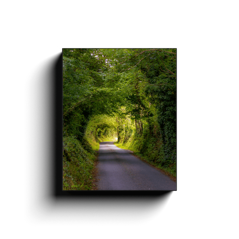 Canvas Wrap - Green Tunnel, County Clare, Ireland - James A. Truett - Moods of Ireland - Irish Art