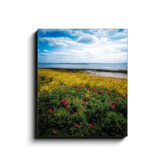 Canvas Wrap - Summer Wildflowers on Galway Bay - James A. Truett - Moods of Ireland - Irish Art