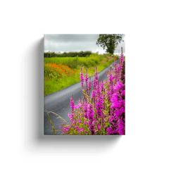 Canvas Wrap - Wildflower-lined Irish Country Road, County Clare - James A. Truett - Moods of Ireland - Irish Art