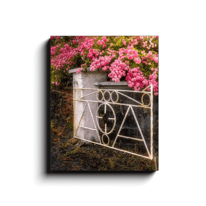 Canvas Wrap - Gate with Pink Roses, Lissycasey, County Clare - James A. Truett - Moods of Ireland - Irish Art