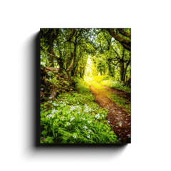 Canvas Wrap - County Clare path lined with Wild Garlic and Wildflowers - James A. Truett - Moods of Ireland - Irish Art