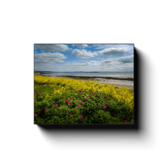 Canvas Wrap - Wildflowers on Galway Bay Canvas Wrap Moods of Ireland 8x10 inch 
