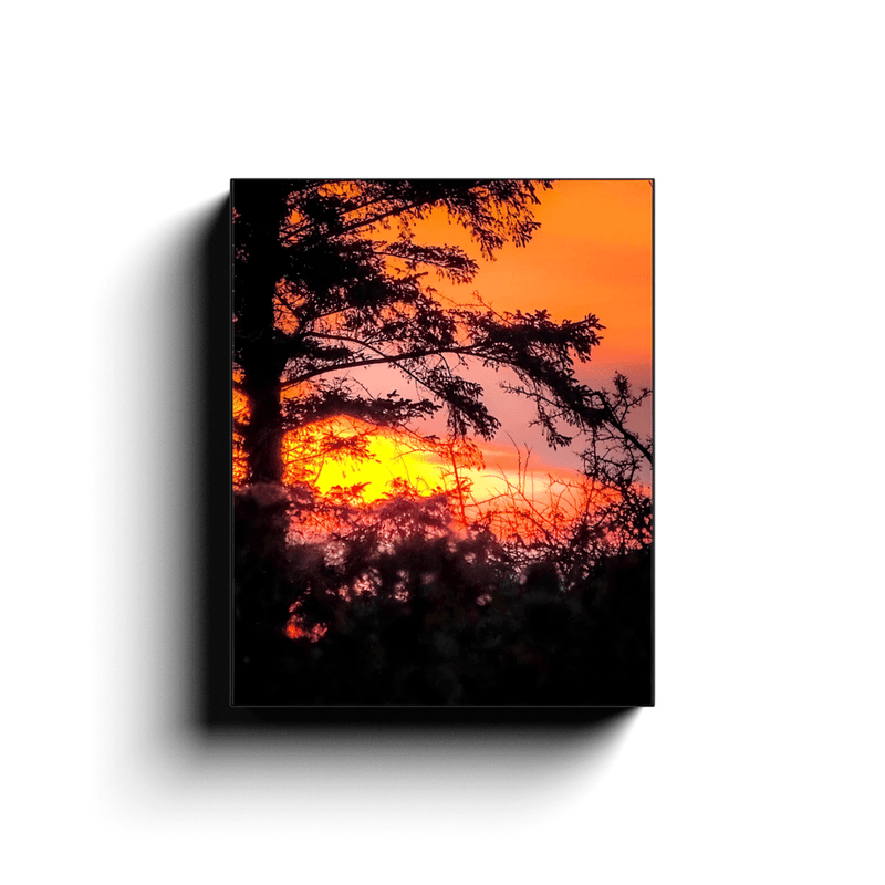 Canvas Wrap - Tree Silhouette in Sunrise, County Clare - James A. Truett - Moods of Ireland - Irish Art